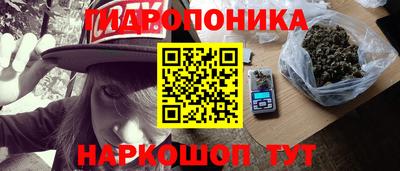 шишки Малгобек