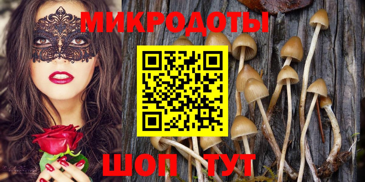 Томск  Галлюциногенные грибы ЛСД  Вход с VPN 