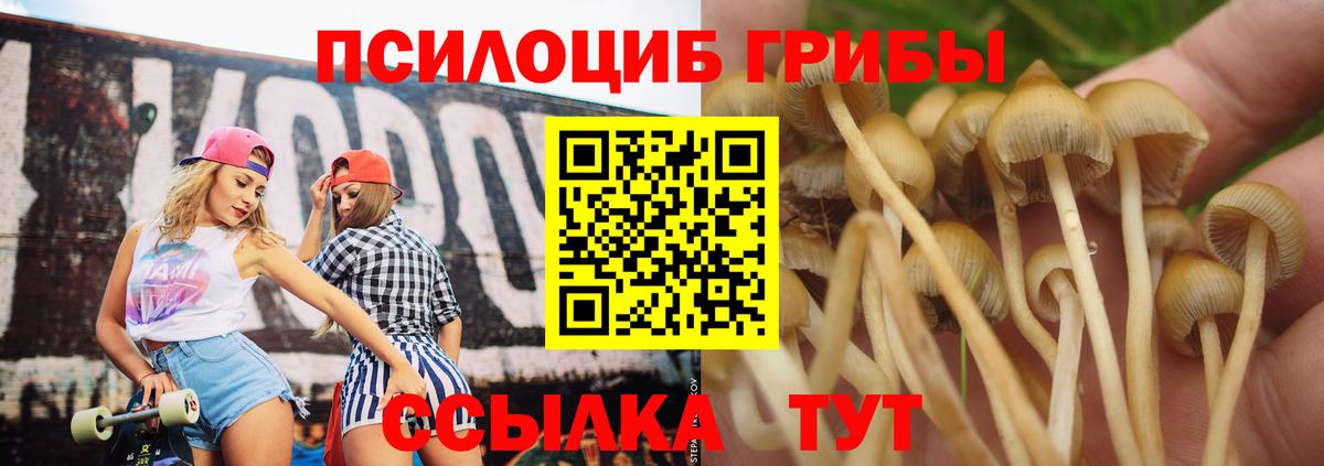 Псилоцибиновые грибы прущие грибы Томск